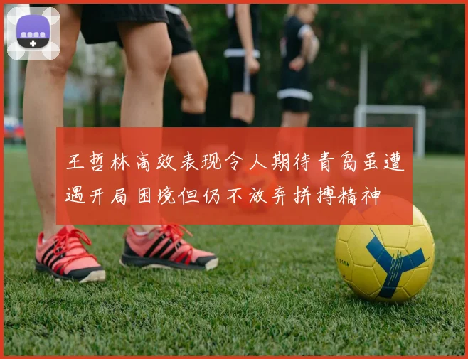王哲林高效表现令人期待青岛虽遭遇开局困境但仍不放弃拼搏精神