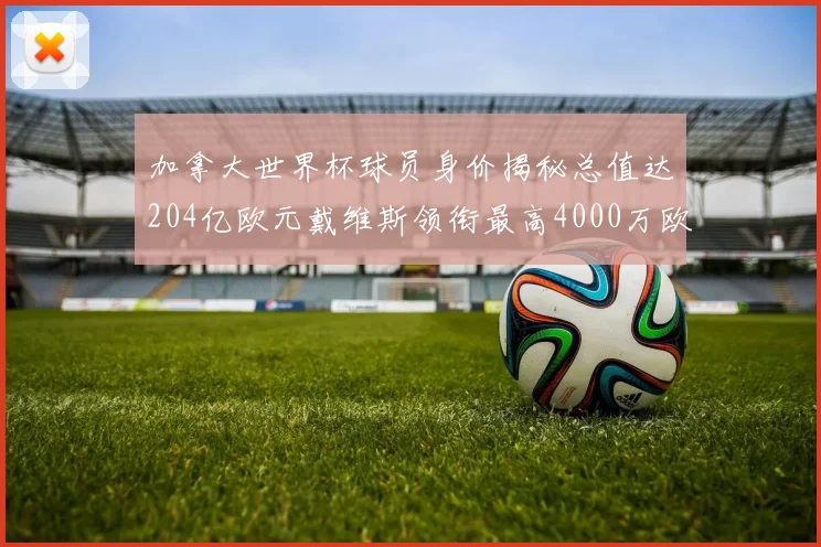 加拿大世界杯球员身价揭秘总值达204亿欧元戴维斯领衔最高4000万欧